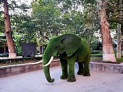 064  green elephant.jpg